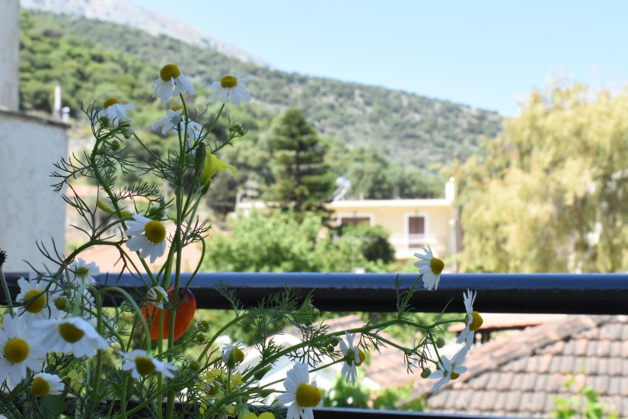 Starvillas Apartments And Studios Agia Efimia Zewnętrze zdjęcie